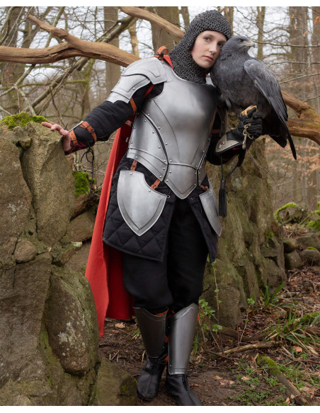 Grèves médiévales Armure Nova, polies