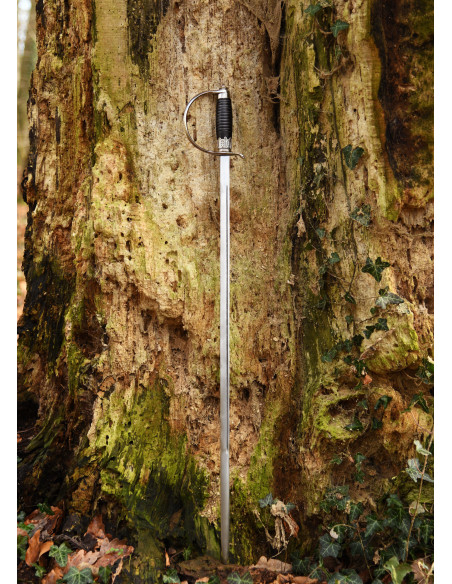 Épée rapière allemande décorative...