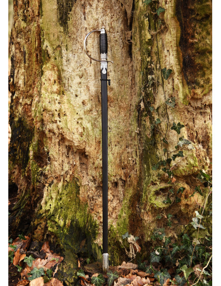 Épée rapière allemande décorative...