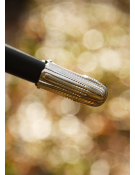 Épée rapière allemande décorative...