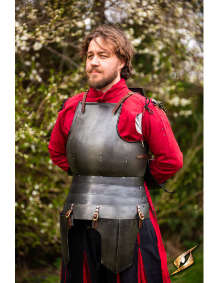Armure médiévale en acier modèle...