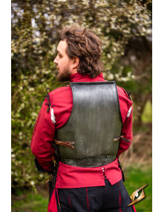 Armure médiévale en acier modèle Landsknecht, finition... 2