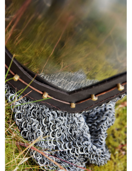 Bassin prêt au combat avec bourreau...