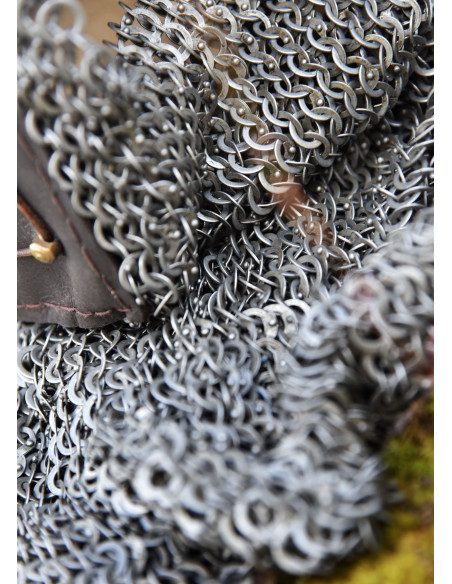 Bassin prêt au combat avec bourreau...