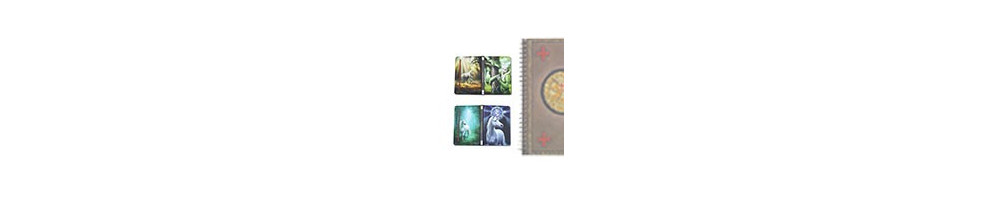Ordinateurs portables